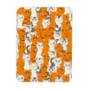 Search for animal patterns magnets Kitten