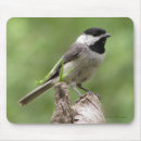 Search for chickadees mousepads Animals