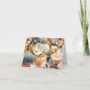 Search for sea shell cards Sand