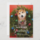 Search for shiba inu christmas cards Wreath