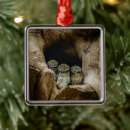 Search for birds nest christmas tree decorations Forest