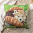 Search for red panda cushions Nature