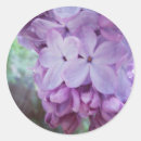 Search for canberra stickers Nature