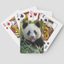 Search for panda playing cards Bear