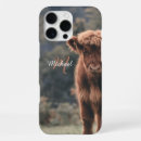 Search for grass cases Calf