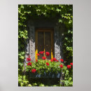 Search for window box posters Flowers