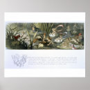 Search for fairy posters Water