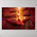 Search for vectorize art Colour