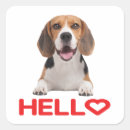 Search for dog adoption stickers Canine