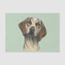 Search for hound Hound dogs