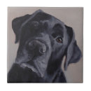 Search for labrador tiles Black