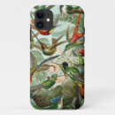 Search for ernst haeckel iphone cases Hummingbirds