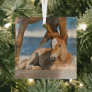 Search for mustang christmas tree decorations Wild horse
