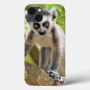 Search for lemur cases Animal