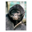 Search for black monkey cards Animal