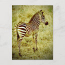 Search for horse baby postcards Horses