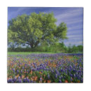 Search for texas wildflower tiles Scenic