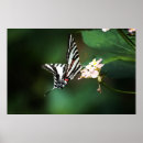 Search for swallowtail butterfly art Garden