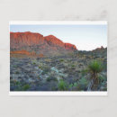 Search for big bend national park postcards Nature