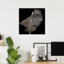 Search for british shorthair cats art Kitty