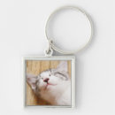 Search for japanese cat key rings Kitten