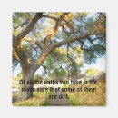 Search for tree landscape magnets Sunlight