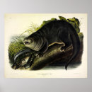 Search for river otter posters Illustration