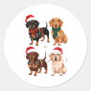 Search for dachshund stickers Xmas