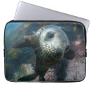Search for beach baby electronics Animals in the wild