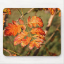 Search for autumn colours mousepads Trees