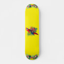 Search for parrot skateboards Nature