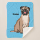 Search for pug blankets Cartoon
