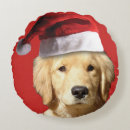 Search for golden retriever christmas cushions Santa