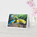 Search for parrot mothers day cards Birds