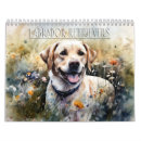 Search for labrador retriever calendars Labradors