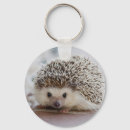 Search for hedgehog key rings Animals