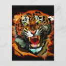 Search for tiger roaring postcards Tigers