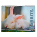 Search for rabbit calendars Pet