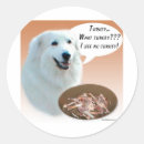 Search for great pyrenees stickers Dog