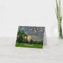 Search for mimosa cards Nature