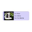 Search for collie return address labels Black and white