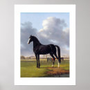 Search for horse race posters Horses