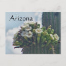 Search for saguaro cactus postcards Travel