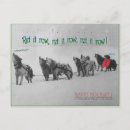 Search for snow sled postcards Husky