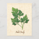 Search for parsley postcards Herb