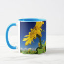 Search for helianthus mugs Close up