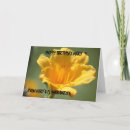 Search for daylilies cards Bloom