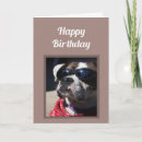 Search for cool dude birthday cards Funny