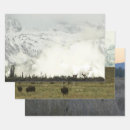 Search for elk gift wrap Winter