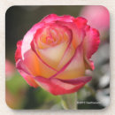 Search for double barware Flowers